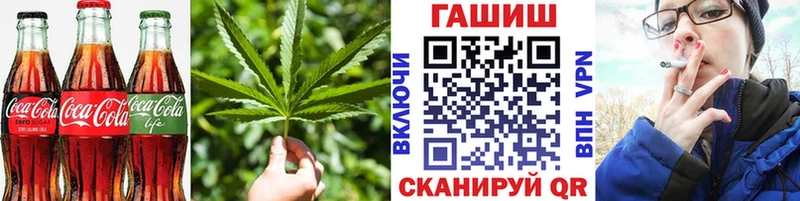 купить закладку  Судак  Еда ТГК конопля 