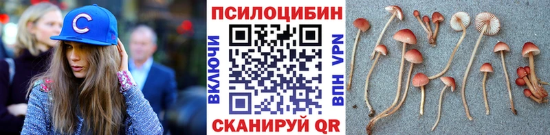 Галлюциногенные грибы прущие грибы  Судак 